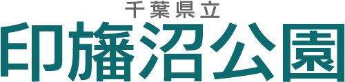 千葉県立印旛沼公園（公式）